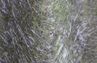 Risinghurst fibreglass roof work